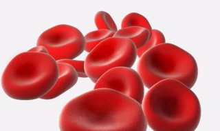 哺乳动物成熟红细胞特点是什么 哺乳动物成熟红细胞特点是什么呢