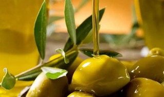 橄榄油做菜方法窍门 橄榄油做菜方法