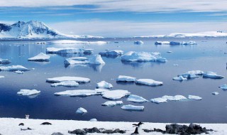南极气温首破20度怎么回事 南极气温首次超过20度