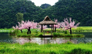 云南坝美村在哪里有火车到吗 云南坝美村在哪