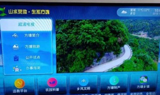 itv是什么 WiFiiTV是什么