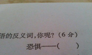 恐惧的反义词最佳答案 恐惧的反义词