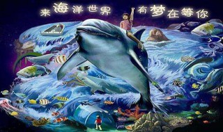 深圳海洋世界在哪里多少钱的门票? 深圳海洋世界攻略