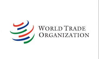 世界贸易组织的英文缩写是什么 世界贸易组织的英文缩写