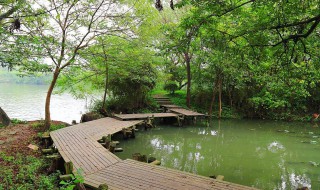 杭州西溪湿地公园在哪（杭州西溪湿地公园在哪里预约）