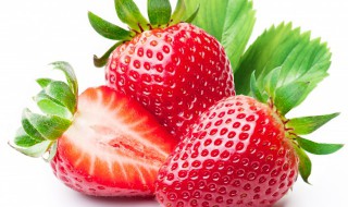 草莓怎么做果饮视频 草莓怎么做果饮