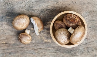 铁板香菇怎么做好吃 铁板香菇做法步骤