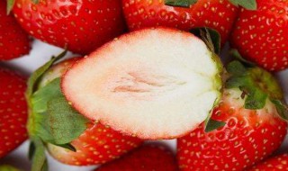 冬天的草莓是不是反季节水果 冬天的草莓是不是反季节水果小孩吃了好吗