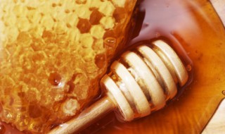 怎么做冰镇蜂蜜水 怎么做冰镇蜂蜜水窍门