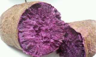 烤箱怎么烤紫薯好吃窍门 烤箱烤紫薯步骤