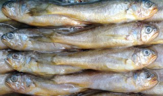 冻过的大黄鱼怎么做 冻过的大黄鱼怎么做最好吃