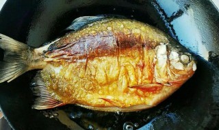 油煎鳊鱼做法步骤 油煎鱼怎么做好吃
