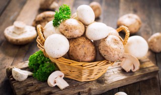新鲜菌菇的保存方法是什么 新鲜菌菇的保存方法