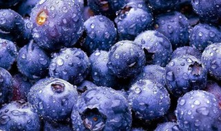 吃蓝莓有啥好处对皮肤好吗视频 吃蓝莓有啥好处对皮肤好吗