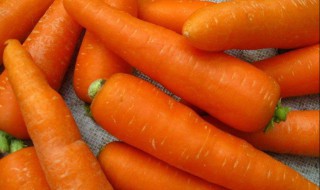 白萝卜煮水喝有什么功效和作用 胡萝卜煮水的功效与作用