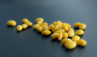 大豆磷脂的功效与作用 大豆磷脂的功效与作用百度百科