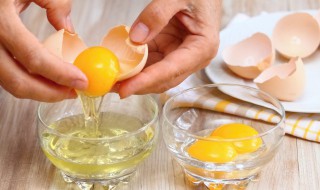 蒸蛋要加多少水 蒸蛋要加多少水的比例