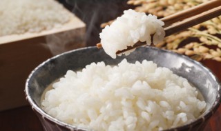 自热米饭有营养价值吗 自热米饭有营养价值吗百度百科