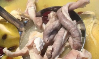 猪肚的10种家常做法 煲猪肚汤放什么材料