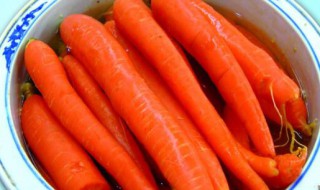 胡萝卜腌制咸菜的做法大全 用胡萝卜腌咸菜做法