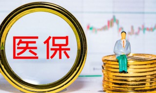 怎么查社保卡里的钱（用手机怎么查社保卡里的钱）