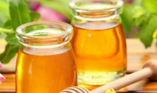 百花蜂蜜的功效与作用 百花蜂蜜的功效与作用及食用方法
