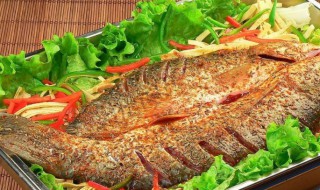 广东烤鱼一般用什么鱼 烤鱼一般用什么鱼