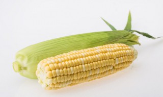 新鲜玉米粒的家常做法简单 新鲜玉米粒的家常做法