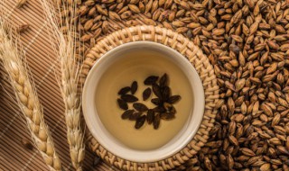 燕麦茶的功效与作用及食用方法 燕麦茶是什么茶