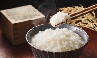 米饭碳水含量（米饭碳水含量多少）