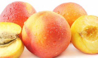 peach的复数形式是什么 peach的复数形式是什么怎么写