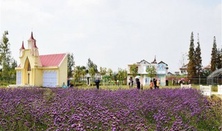 西安薰衣草庄园几月份去最好 西安薰衣草庄园几月份去最好玩