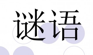 观不见有鸟飞来打一字 观不见鸟飞来打一字谜