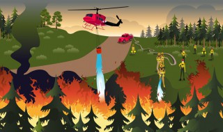 关于森林防火的宣传资料 关于森林防火的宣传稿