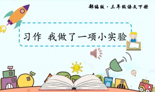 我做了一项小实验300字 我做了一项小实验300字作文免费