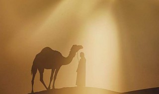 骆驼背上的太阳怎么回事 骆驼背上的是什么?