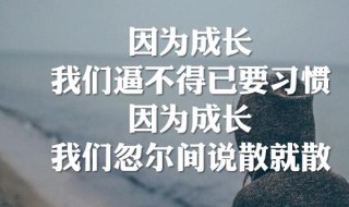 说散就散歌词（说散就散jc歌词）