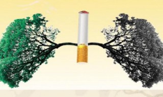 如何保护青少年远离传统烟草产品 保护青少年远离传统烟草产品和电子烟倡议书
