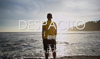 despacito歌词翻译中文（《despacito》的歌词）