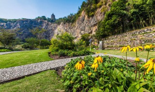 辰山植物园旅游攻略（辰山植物园旅游攻略路线）