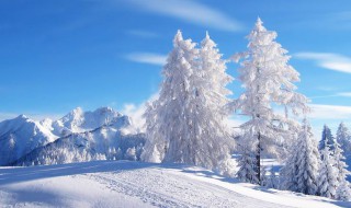 描写雪的古诗大全300首 描写雪的古诗