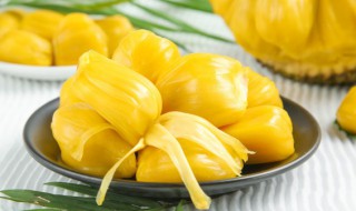 菠萝蜜核的吃法和营养 菠萝蜜核的吃法