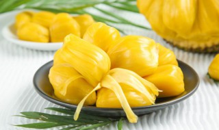 菠萝蜜的热量 菠萝蜜的热量高不高,减肥期间能吃吗?