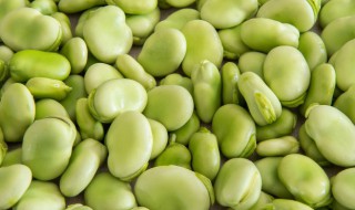 蚕豆焖饭要怎么做 蚕豆焖饭怎么做好吃