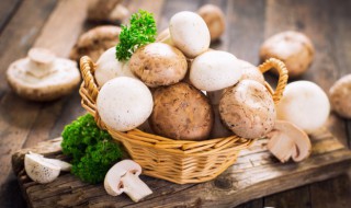 土豆蘑菇怎么做好吃又简单 土豆和蘑菇怎么做好吃