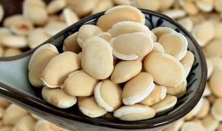 炒白扁豆功效和作用及禁忌 炒白扁豆的功效与作用禁忌及食用方法