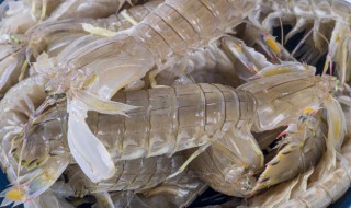濑尿虾的正宗做法和配方大全 濑尿虾的正宗做法和配方