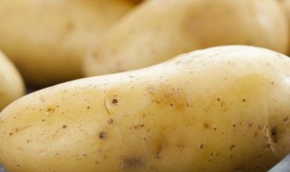 土豆有什么做法好吃视频 土豆有什么做法好吃