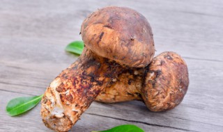 松茸的功效与作用及食用方法 干姬松茸的功效与作用及食用方法