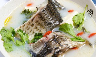 剩鱼汤怎么做好吃 剩鱼做汤的做法大全